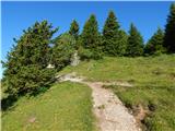 Kranjski Rak - Črnuški dom na Mali planini